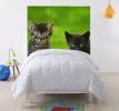48 X 72 Multi Color Wood Canvas Curious Cat  Screen