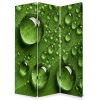 48" X 72" Multi Color Wood Canvas Rain  Screen