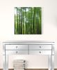 24" Canvas 3 Panels Forest Color Photo