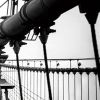24" Black And White Canvas 3 Horizontal Panels Photo