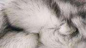 5' X 8' Gray Faux Fur Ombre Flokati Washable Area Rug
