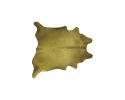 60" X 84" Lime Cowhide - Area Rug