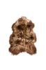 Rusty Brisa Animal Print Area Rug