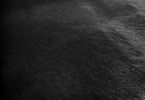 6' X 7' Black Cowhide Handmade Area Rug