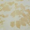 6.5' White And Tan Brazilian Natural Cowhide Area Rug