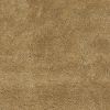8' X 10' Gold Indoor Shag Rug