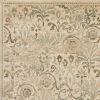 3' X 5' Ivory Area Rug