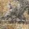3' X 5' Coffee Brown Machine Woven Floral Medallion Indoor Area Rug