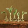 Quintuplet Set Of Five Joined Glass Vases