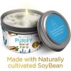 Magnificent 101 Purify 6oz Natural Soy Aromatherapy Clarity Candle w/Sage, Palo Santo, Sandalwood