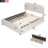 Queen size Platform Bed w/Stud Trim Headboard, Footboard, 4 Drawers, Velvet Fabric (Beige)