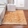 Fluffy Imitation Wool Area Rug, Suede Fleece Bottom Long Imitation Wool Rug, Acrylic 80% Polyester 20%